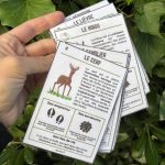 Mon guide des traces d'animaux unjourunjeu