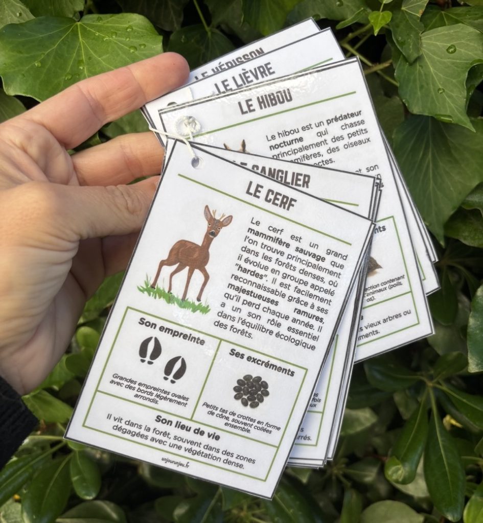 Mon guide des traces d'animaux unjourunjeu