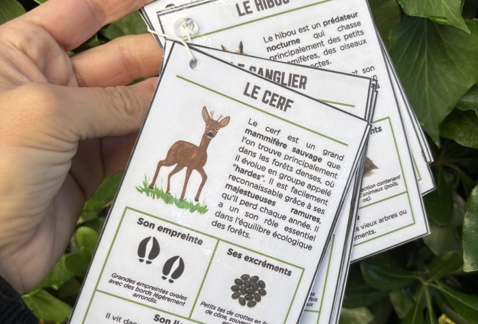 Mon guide des traces d'animaux unjourunjeu