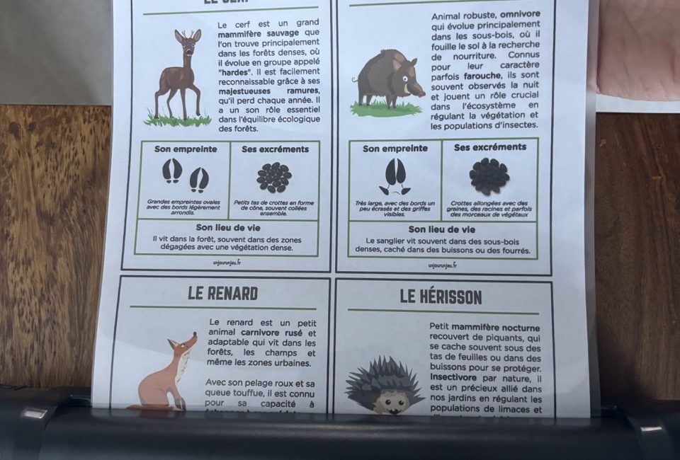 Guide des traces d'animaux - 1