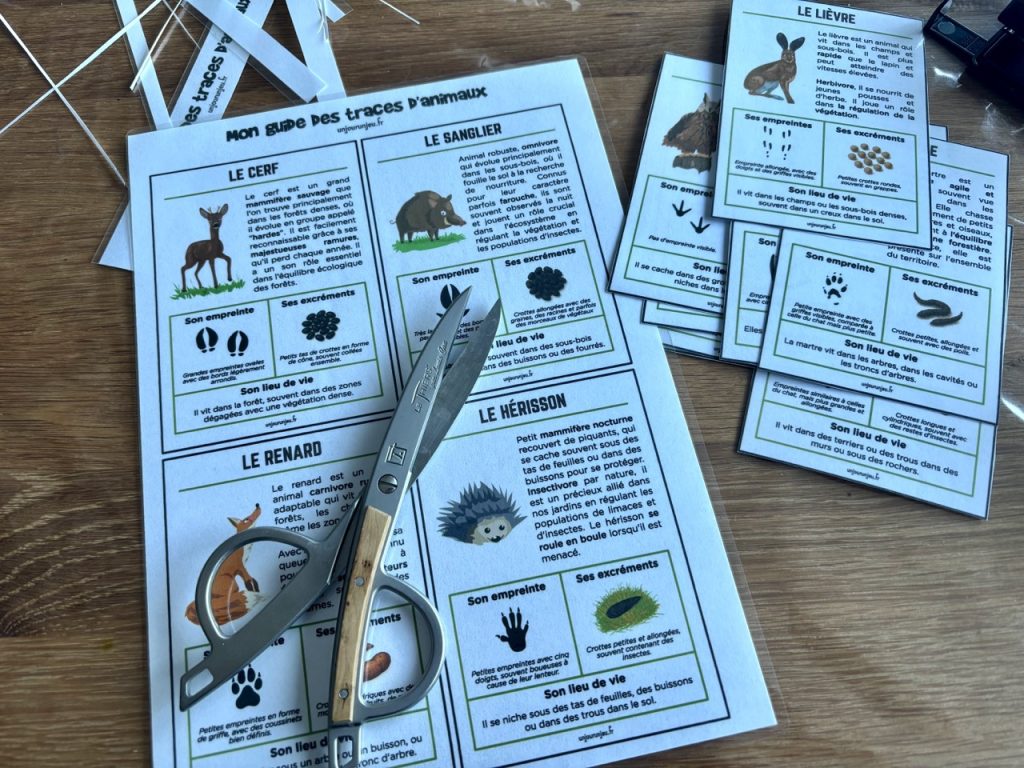 Guide des traces d'animaux - 2