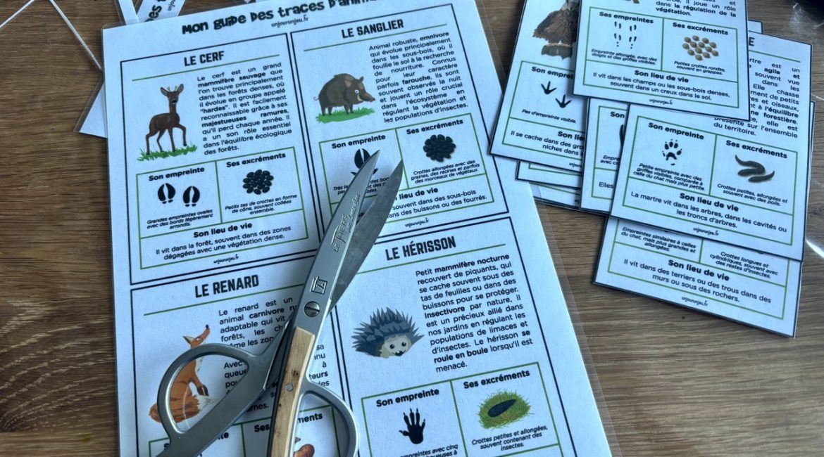 Guide des traces d'animaux - 2
