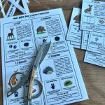 Guide des traces d'animaux - 2