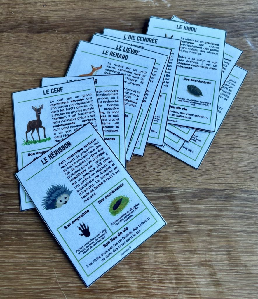 Guide des traces d'animaux - 3