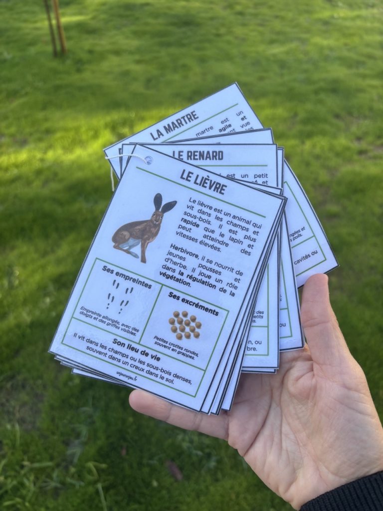 Guide des traces d'animaux - 4