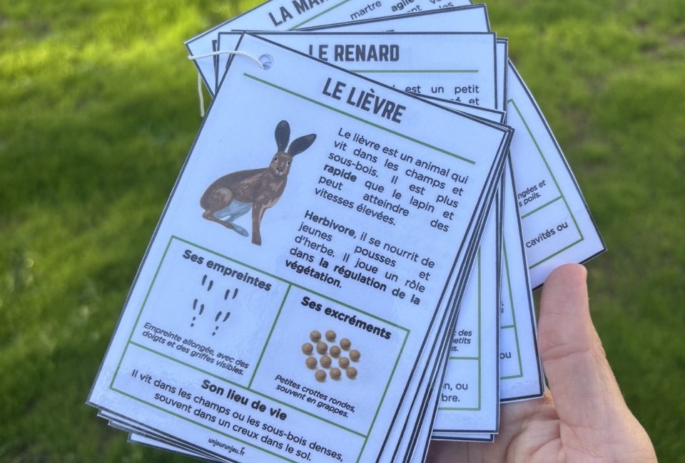 Guide des traces d'animaux - 4