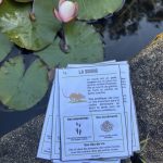 Guide des traces d'animaux - 5