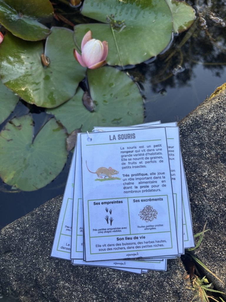 Guide des traces d'animaux - 5