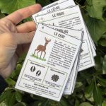 Guide des traces d'animaux - 6