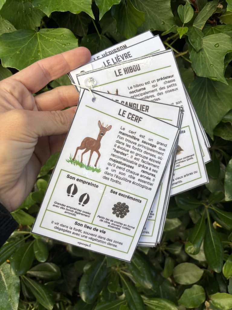 Guide des traces d'animaux - 6