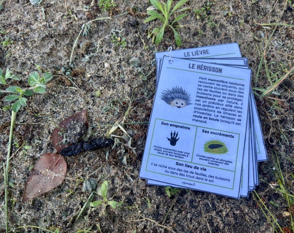 Guide des traces d'animaux - 7