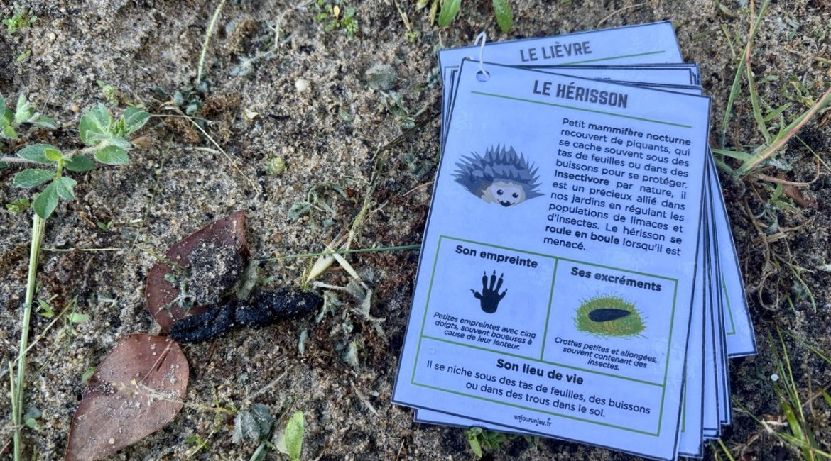 Guide des traces d'animaux - 7