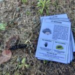 Guide des traces d'animaux - 7