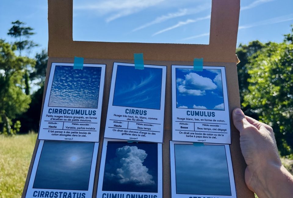 Identificateur à nuages