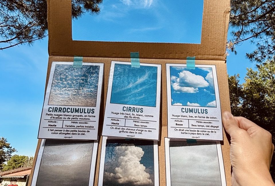 Identificateur à nuages