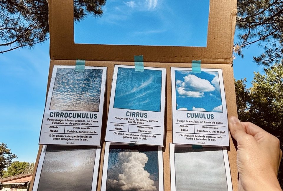 Identificateur à nuages