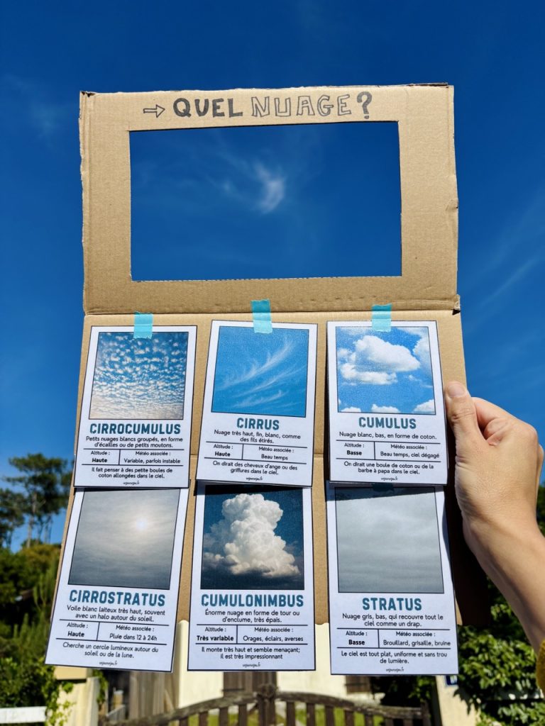 Identificateur à nuages