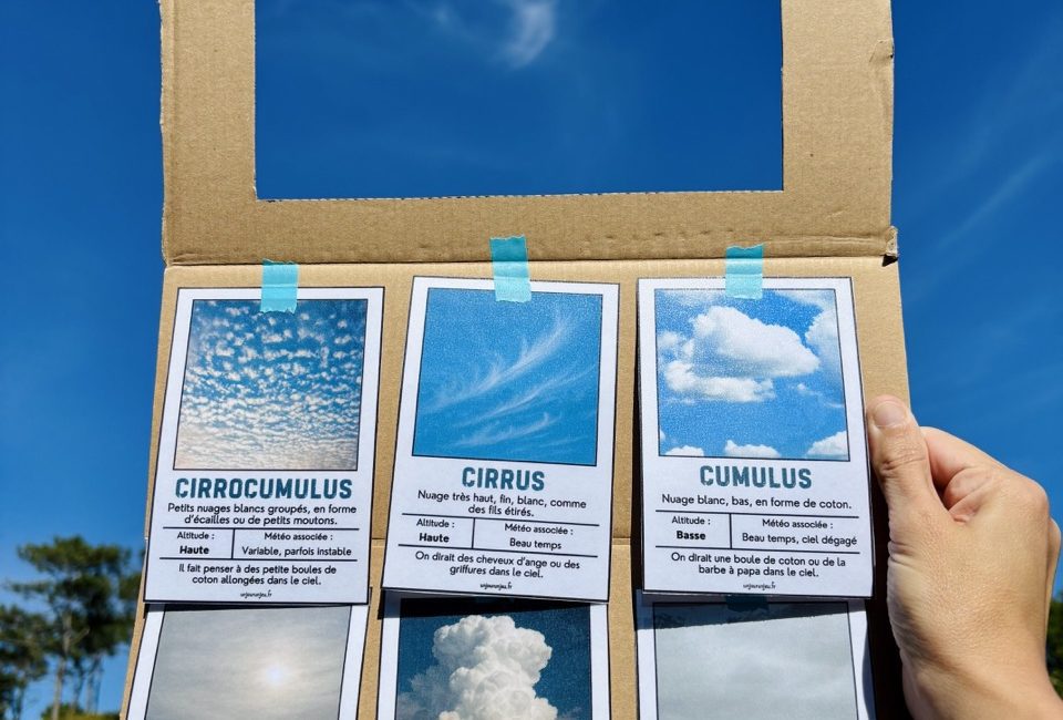 Identificateur à nuages