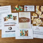 Escape Game de l'île mystérieuse