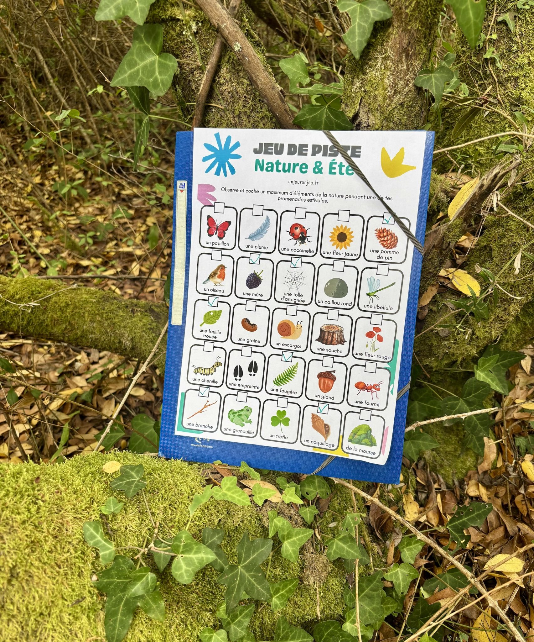 Un jeu de piste en pleine nature pour les petits explorateurs - Un jour ...
