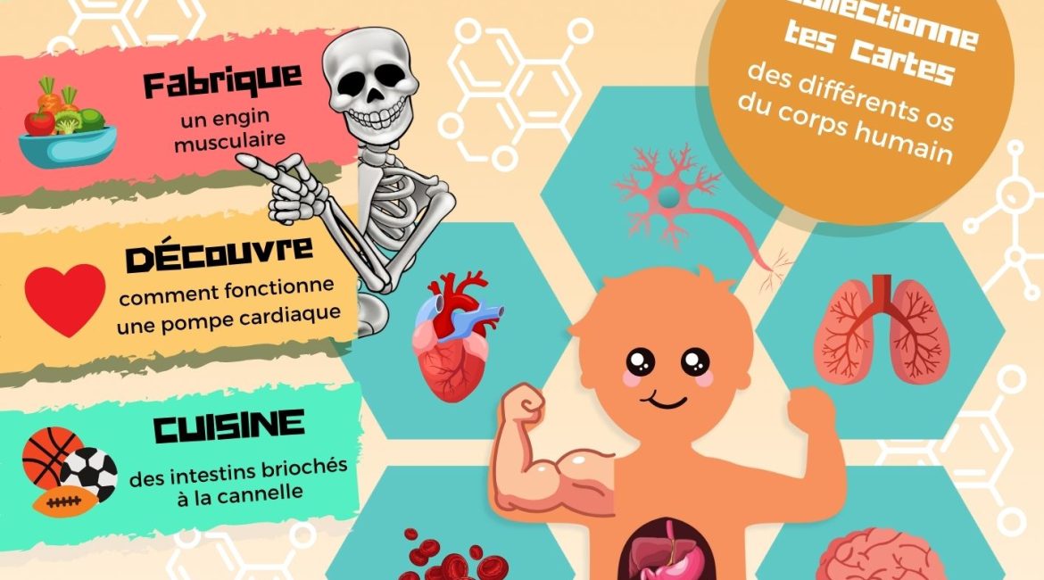 L'Académie des Ouistitis s'intéresse au corps humain