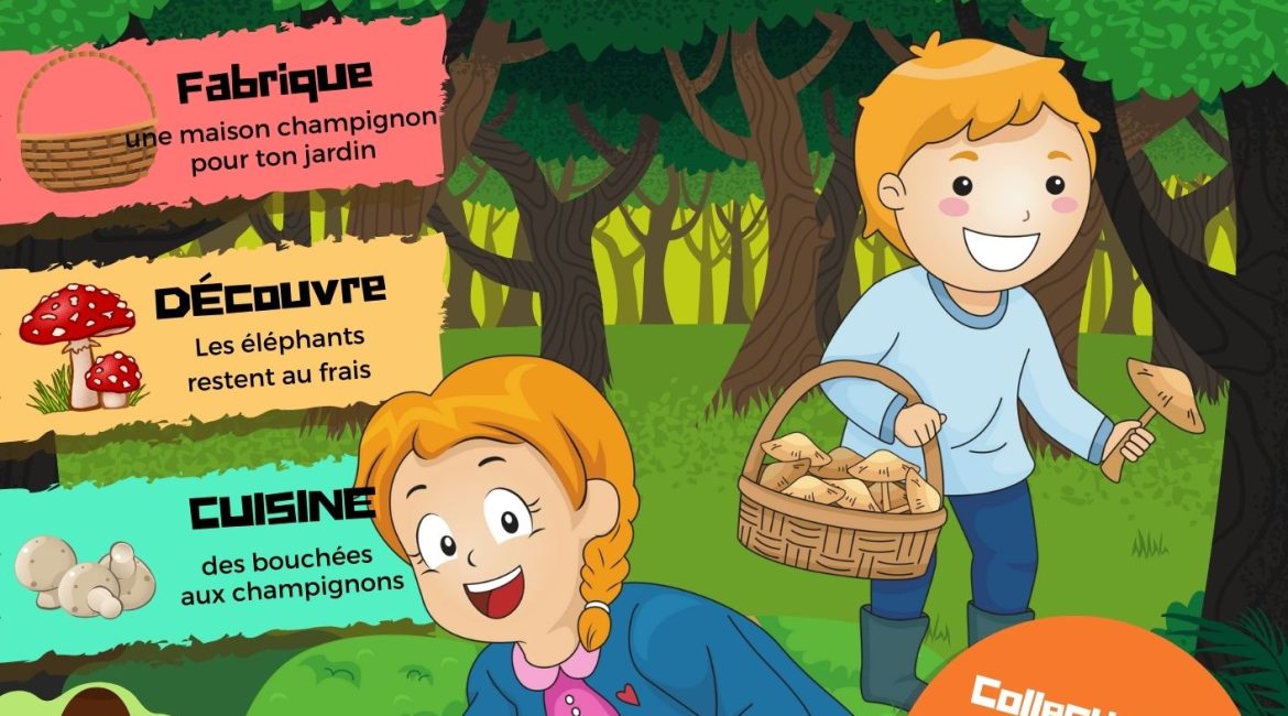 L'Académie des Ouistitis à la cueillette des champignons