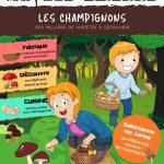 L'Académie des Ouistitis à la cueillette des champignons