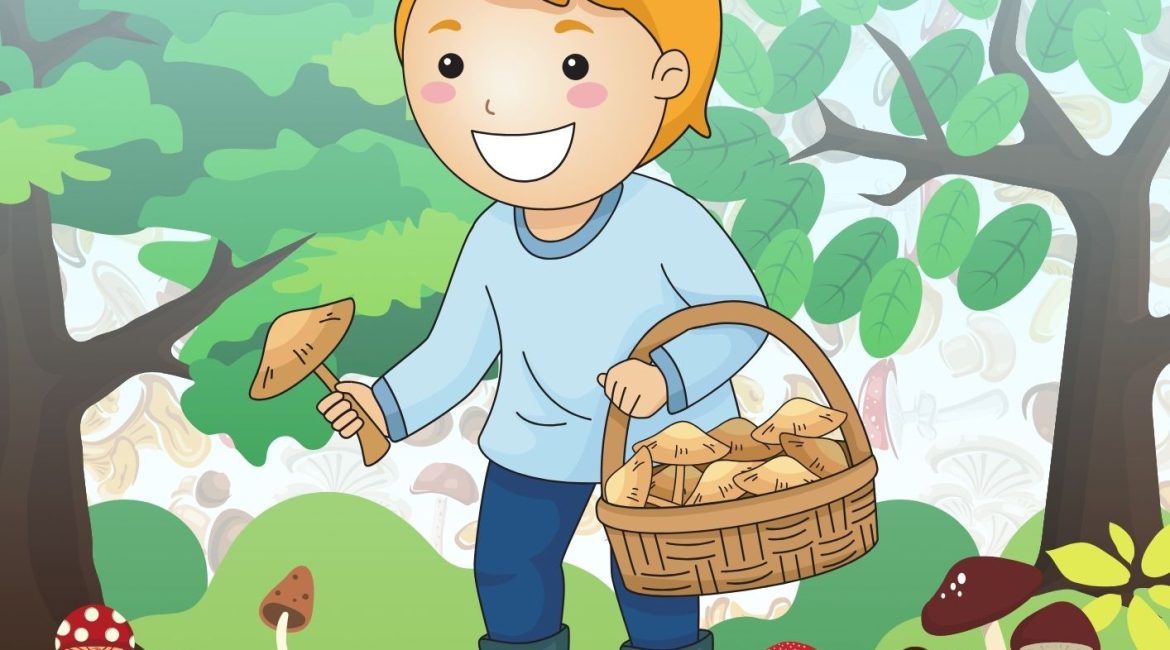 Les P'tits Ouistitis récoltent des champignons