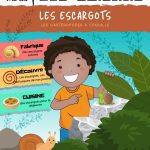 L'Académie des Ouistitis observent les escargots