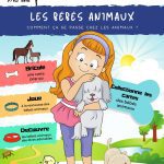 L'Académie des Ouistitis et les bébés animaux