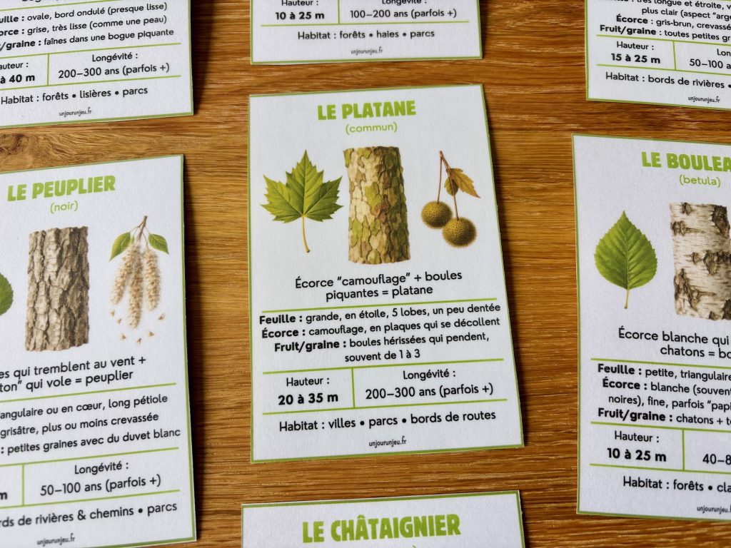 Identificateur d'essence sd'arbres