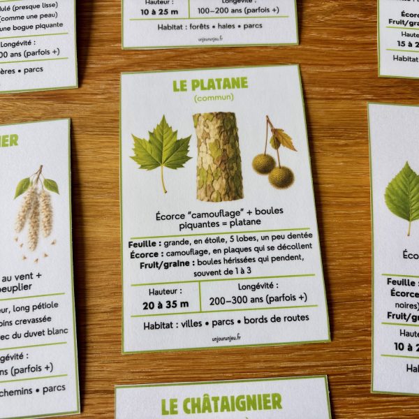 Identificateur d'essence sd'arbres