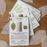 Identificateur d'arbres