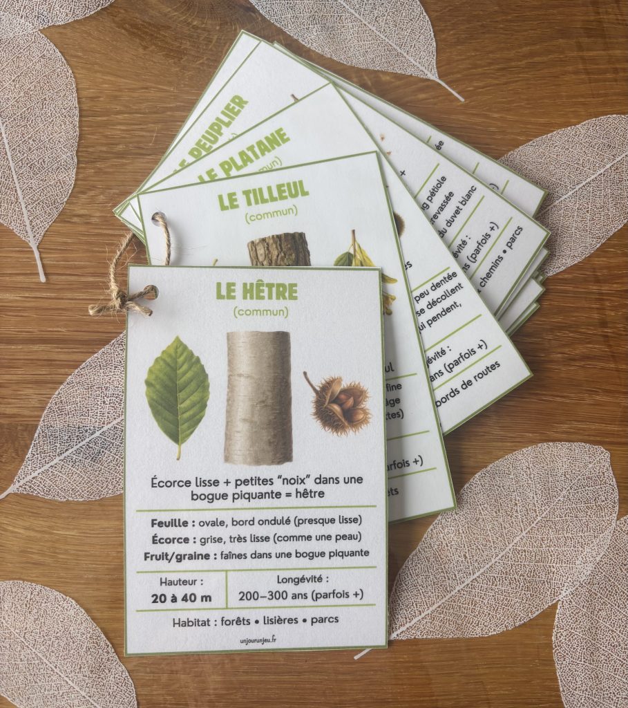 Identificateur d'arbres