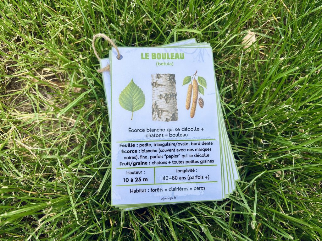 Identificateur d'arbres