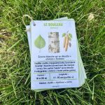 Identificateur d'arbres