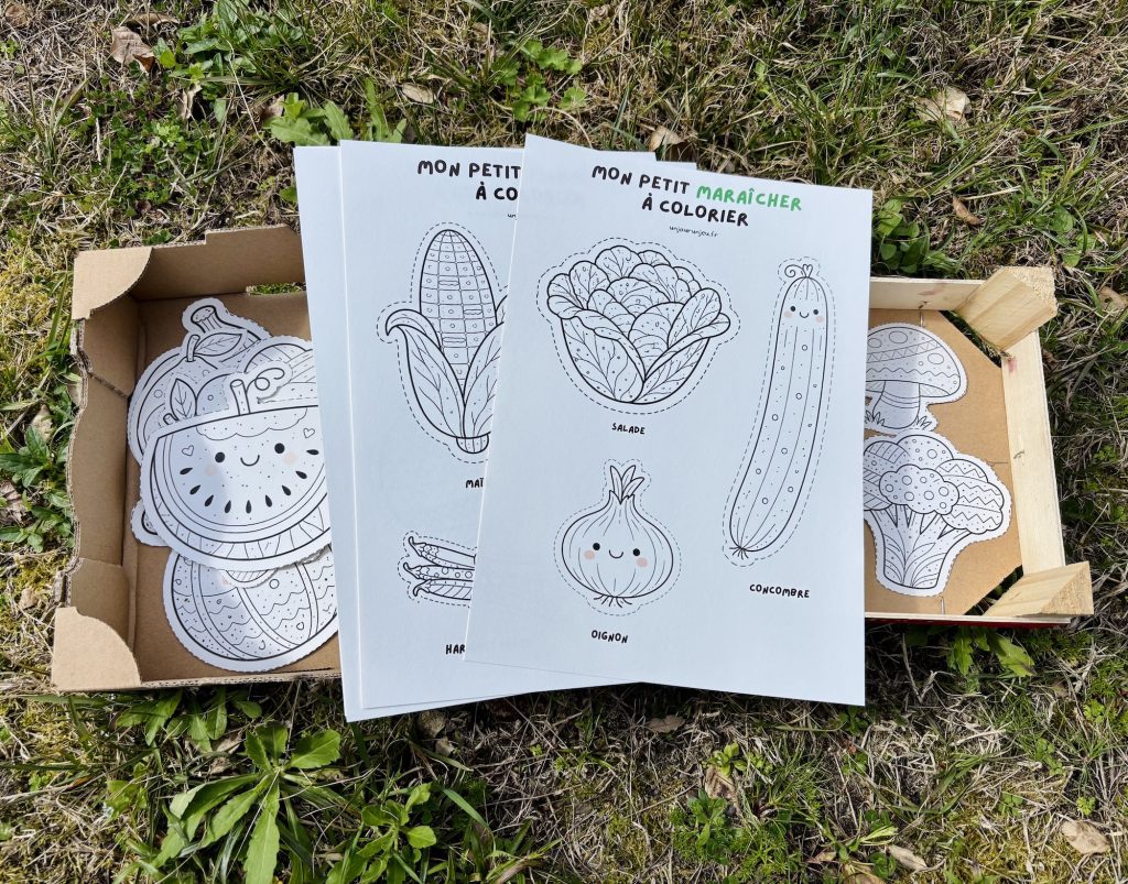 Mon petit maraicher : fruits et légumes