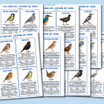 Fiches Oiseaux