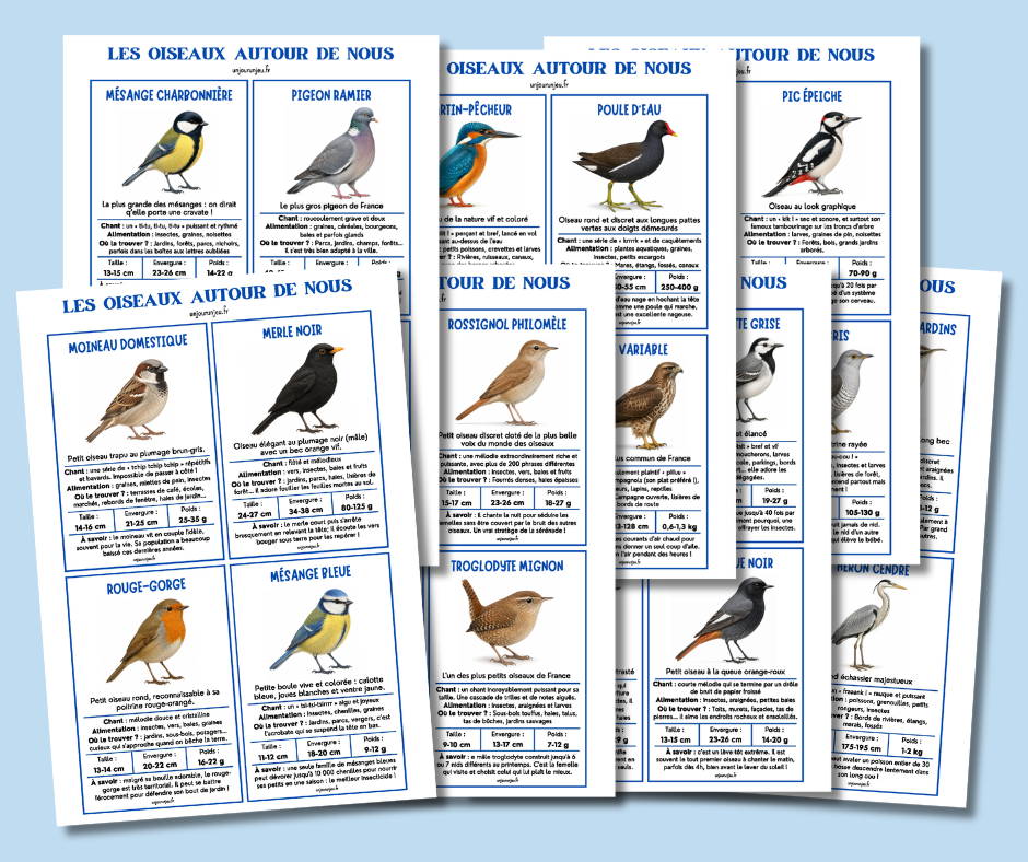 Fiches Oiseaux
