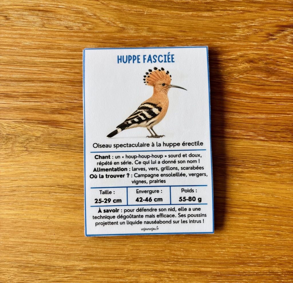 Identifier les oiseaux