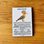 Identifier les oiseaux