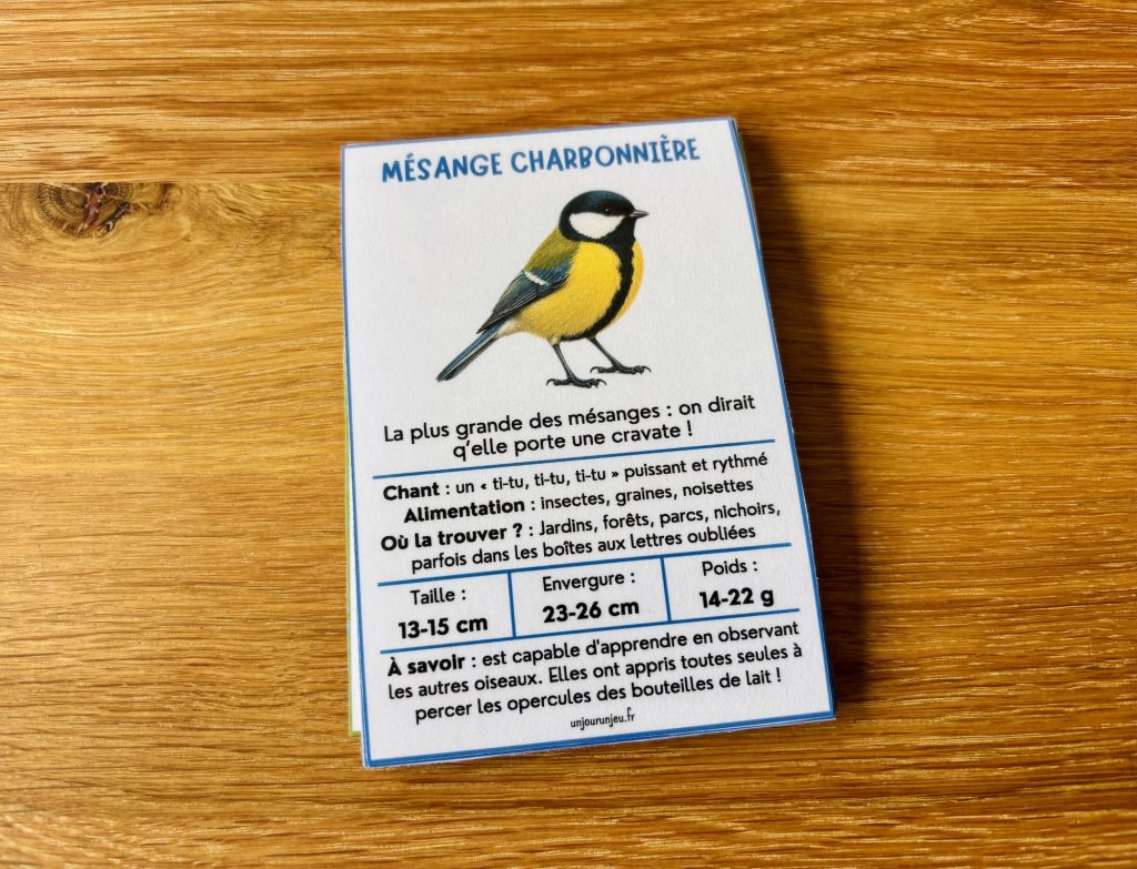 Identifier les oiseaux