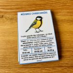 Identifier les oiseaux