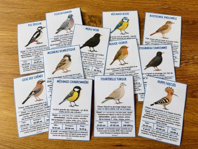 Identifier les oiseaux autour de nous