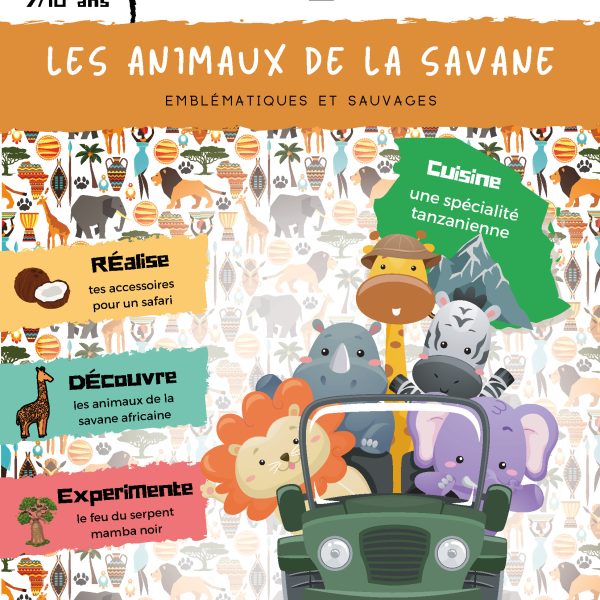 L'Académie des Ouistitis au cœur de la savane africaine