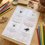 Fiches peties bêtes