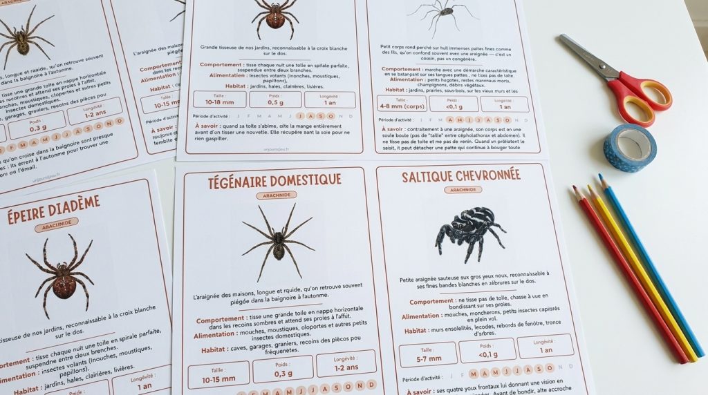 Petites bêtes du jardin : 16 fiches d&rsquo;identification pour les reconnaître