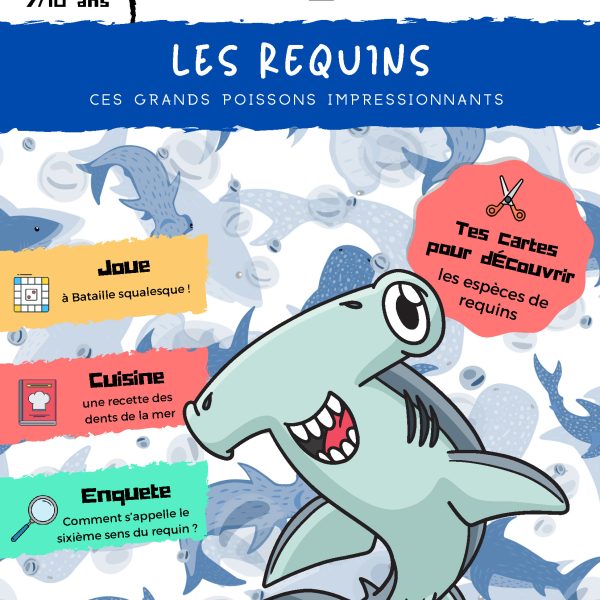 L'Académie des Ouistitis plonge avec les requins