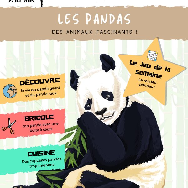 L'Académie des Ouistitis et les pandas