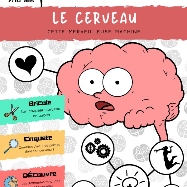 L'Académie des Ouistitis et le cerveau